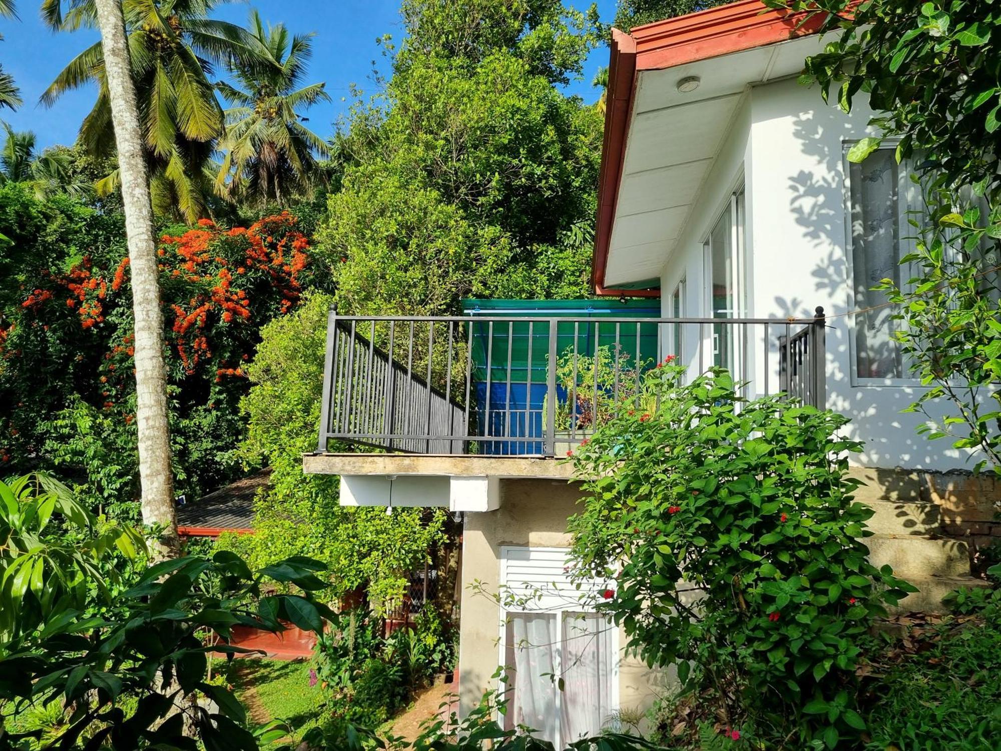 Squirrel'S Nest Kandy Exterior foto